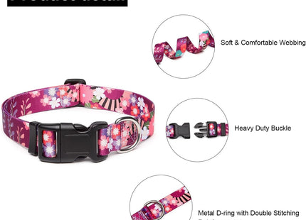 Collar Con Diseños Para Perro