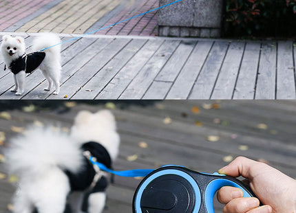 Correa extensible 5 metros / mascotas hasta 20 kg