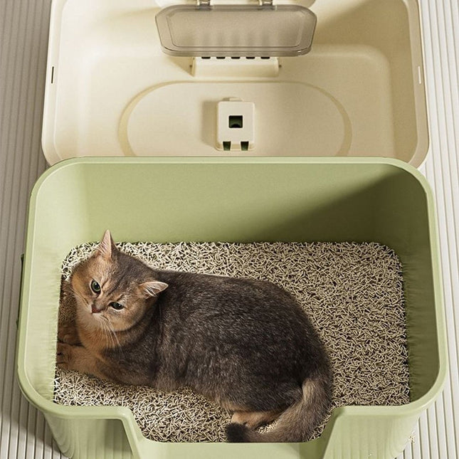 Arenero Cerrado Para Gatos