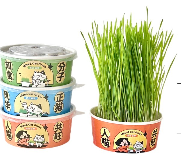 Maceta Para Cultivo De Yerba Gatera