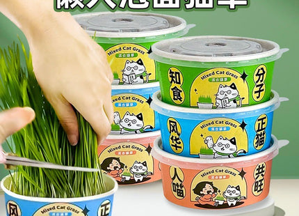 Maceta Para Cultivo De Yerba Gatera