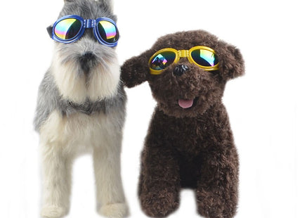 Lentes De Sol Para Perros