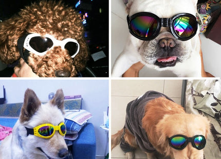 Lentes De Sol Para Perros