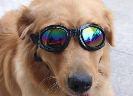 Lentes De Sol Para Perros