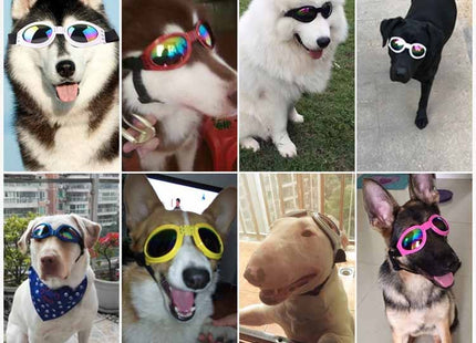 Lentes De Sol Para Perros