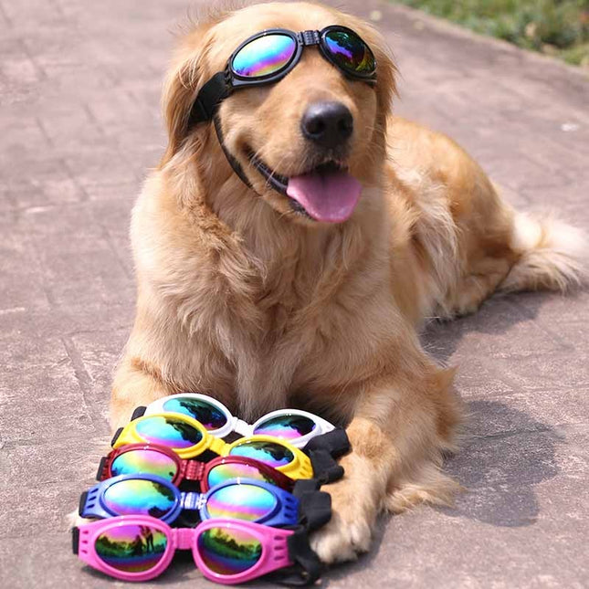 Lentes De Sol Para Perros
