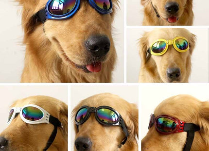 Lentes De Sol Para Perros