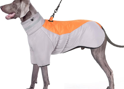 Capa Abrigo Para Perros