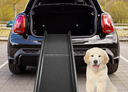 Rampa Grande Para Perros