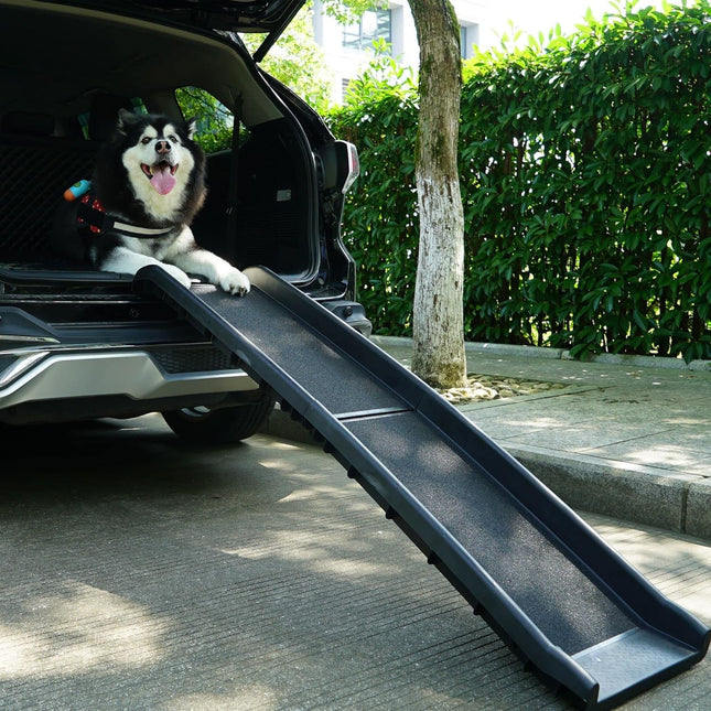 Rampa Grande Para Perros