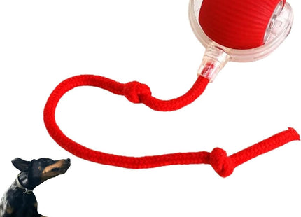 Bola Con Cuerda Interactiva Para Mascotas