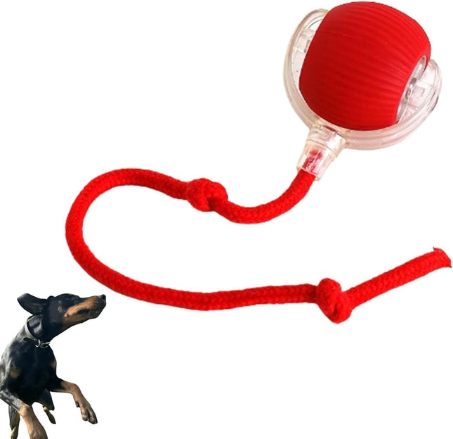 Bola Con Cuerda Interactiva Para Mascotas