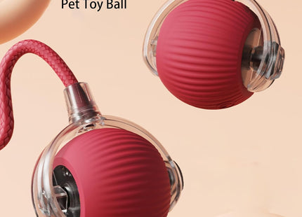 Bola Con Cuerda Interactiva Para Mascotas