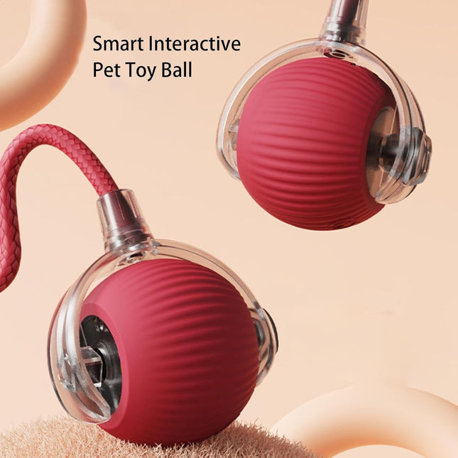 Bola Con Cuerda Interactiva Para Mascotas