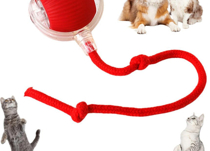 Bola Con Cuerda Interactiva Para Mascotas