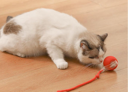 Bola Con Cuerda Interactiva Para Mascotas