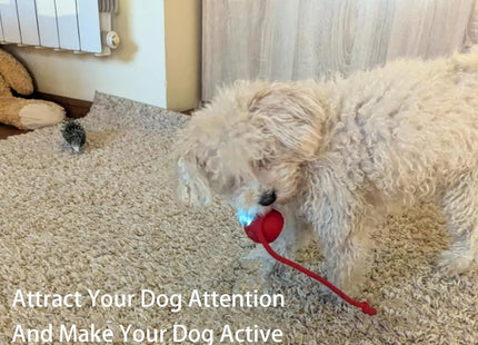 Bola Con Cuerda Interactiva Para Mascotas