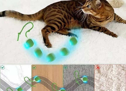 Bola Con Cuerda Interactiva Para Mascotas