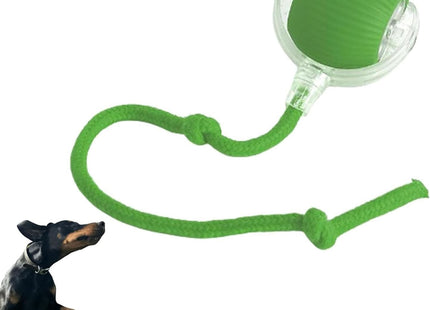 Bola Con Cuerda Interactiva Para Mascotas
