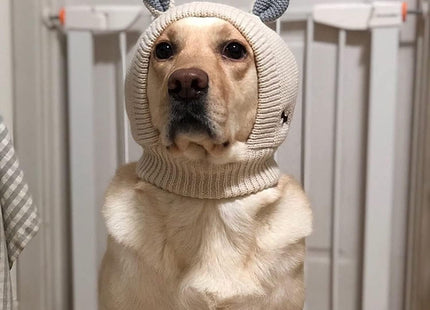 Gorro De Lana Para Perros