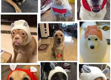 Gorro De Lana Para Perros