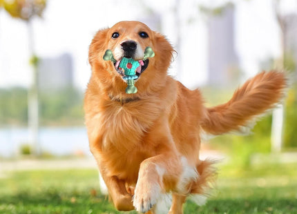 Juguete Molar Para Perros