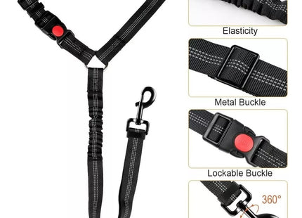 Cinturón de seguridad para perro