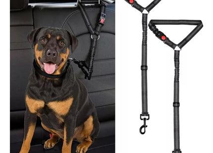 Cinturón de seguridad para perro