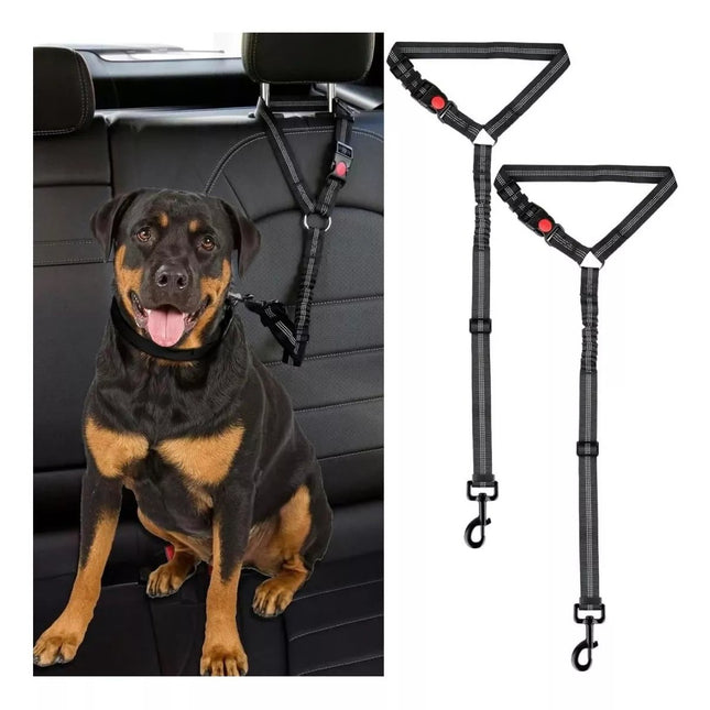 Cinturón de seguridad para perro