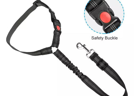 Cinturón de seguridad para perro