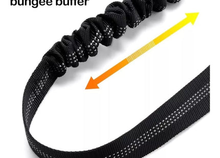 Cinturón de seguridad para perro