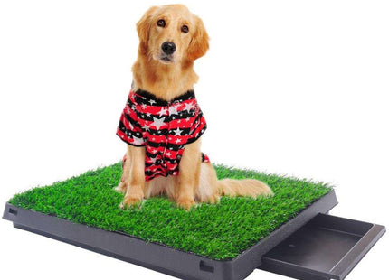 Baño Sanitario Para Perro