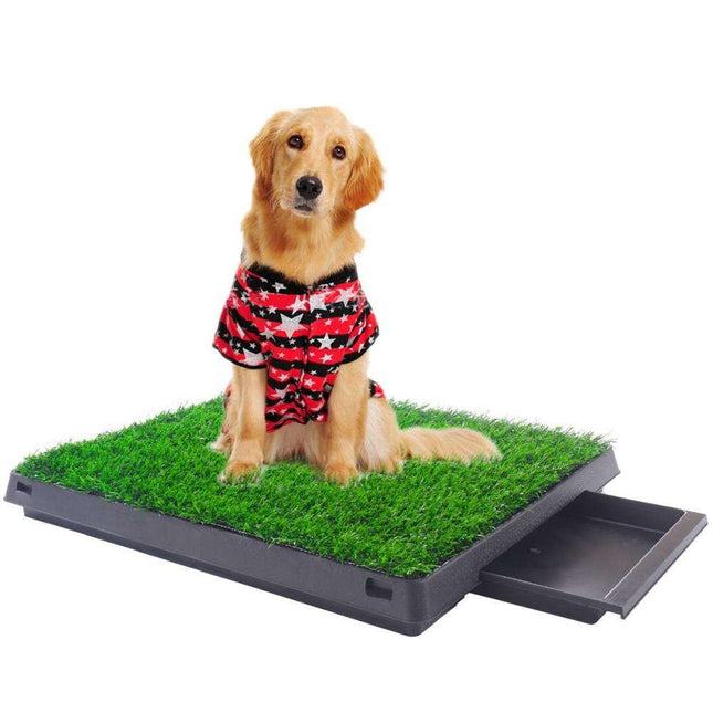 Baño Sanitario Para Perro