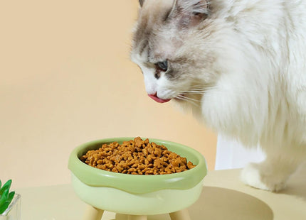 Plato Dona Elevado