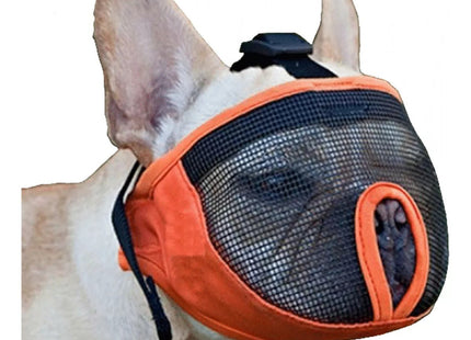 Bozal Perro Braquicéfalos