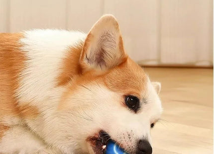 Pelota Inteligente Para Perros