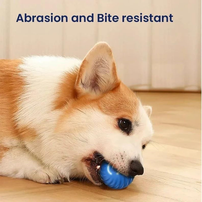 Pelota Inteligente Para Perros