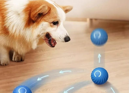 Pelota Inteligente Para Perros