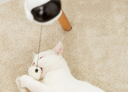 Juguete Colgante Automático Para Gatos