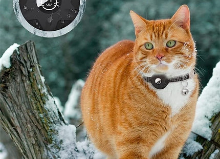 Collar Airtag Para Gato
