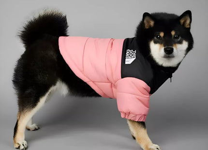 Campera Impermeable The Dog Fans