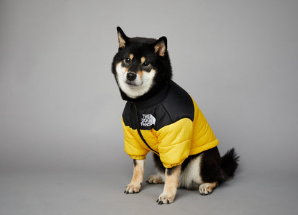 Campera Impermeable The Dog Fans