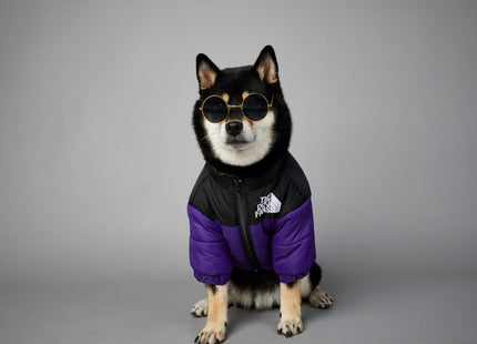 Campera Impermeable The Dog Fans