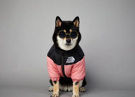Campera Impermeable The Dog Fans