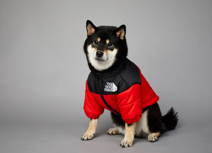 Campera Impermeable The Dog Fans