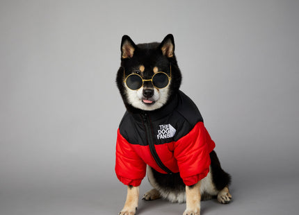 Campera Impermeable The Dog Fans