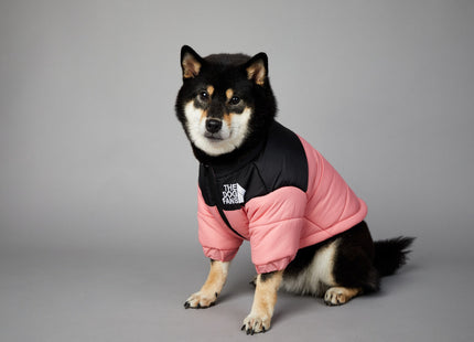 Campera Impermeable The Dog Fans