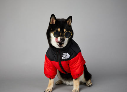 Campera Impermeable The Dog Fans