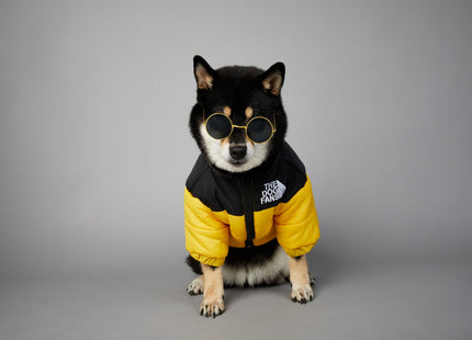 Campera Impermeable The Dog Fans