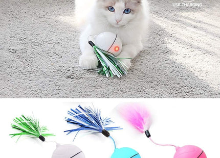 Juguete para gato pelota con movimiento recargable
